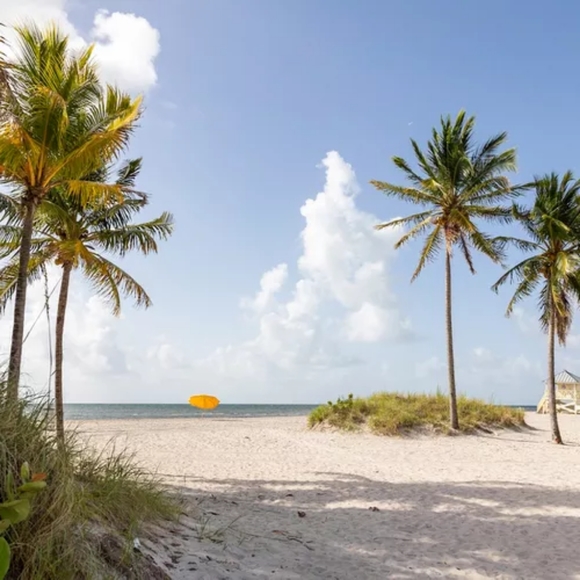 Meet your Posher, Amalia Grace - Picture 2 of 6